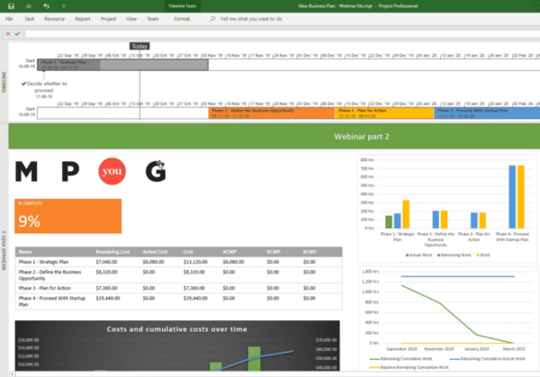 Mastering Microsoft Project Visualization Course