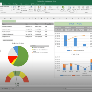 Project Performance Measurement Course