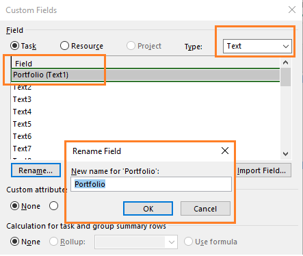 Portfolio Custom Field