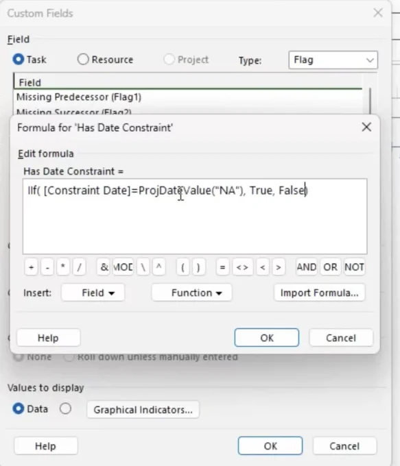 Adding a custom function to identify date constraints in MS Project