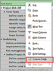 Custom Fields in dropdown list.