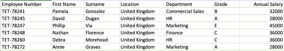 Excel screen shot showing employee information.