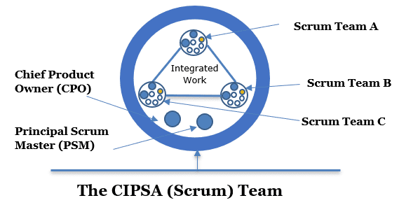 Fig. 1 - The CIPSA (Scrum) Team